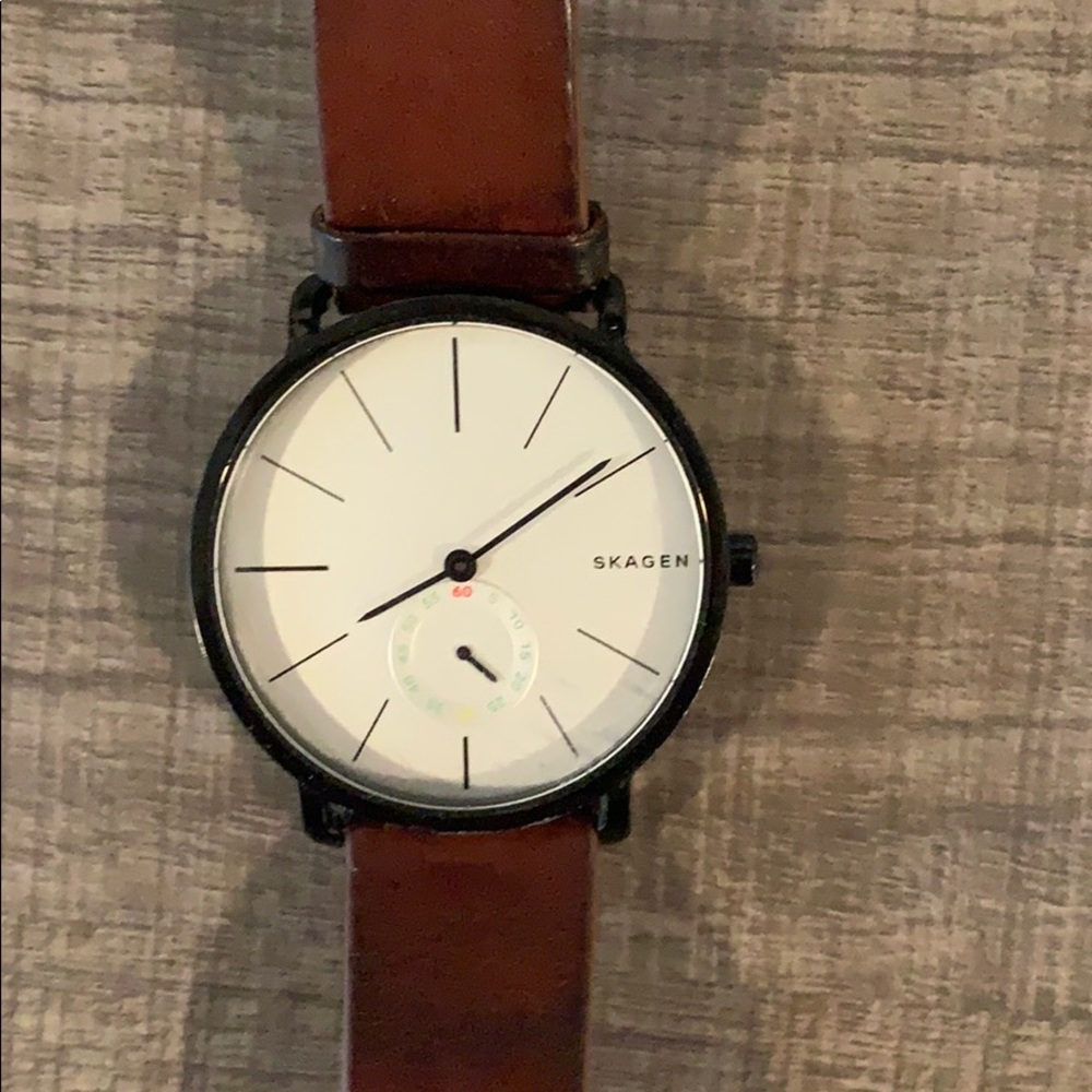 Skagen Men’s watch